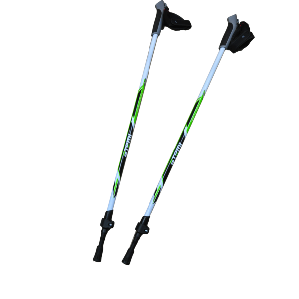 Custom aluminium stick hiking 2 sections nordic walking sticks trekking pole