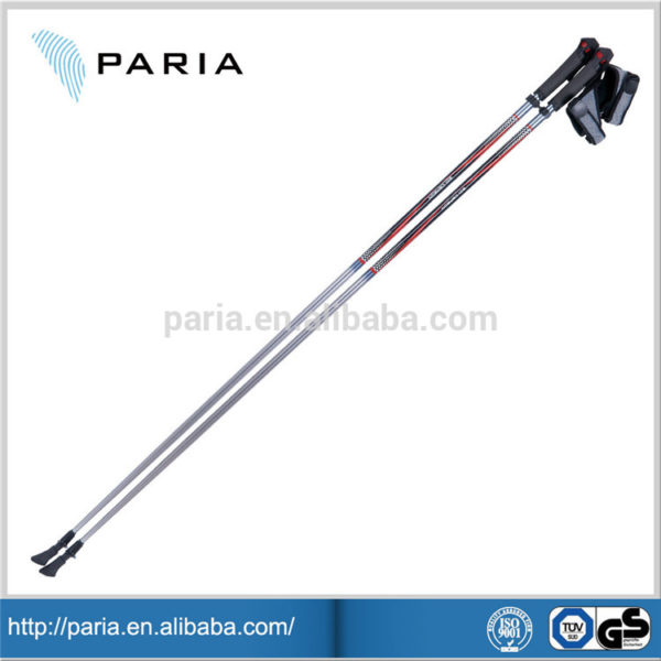 High Quality 2020 new style ski pole tip, ski pole handle, custom ski pole - Image 3